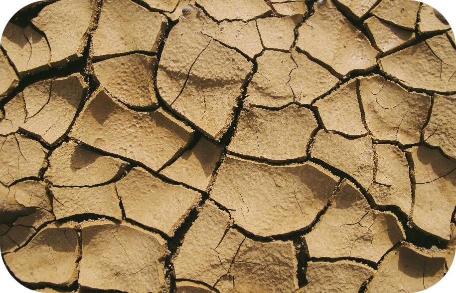 Cracked dry ground, representing desertification caused by the impacts of climate change