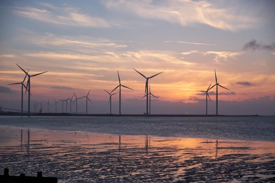 Wind farm representing renewable technologies that support carbon net zero
