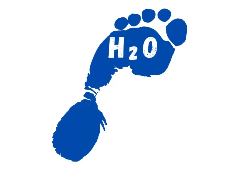 Graphic of a water footprint symbol.