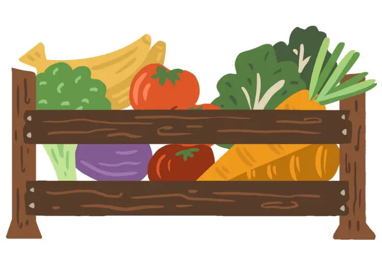 Fresh fruit and vegetables graphic, representing sustainable plant based foods