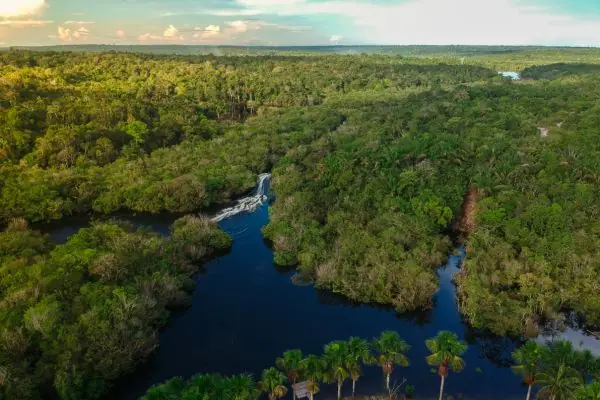 The Amazon Rainforest, a critical ecosystem for global climate stability. 