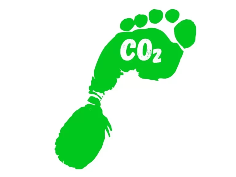 Graphic of a green CO2 footprint