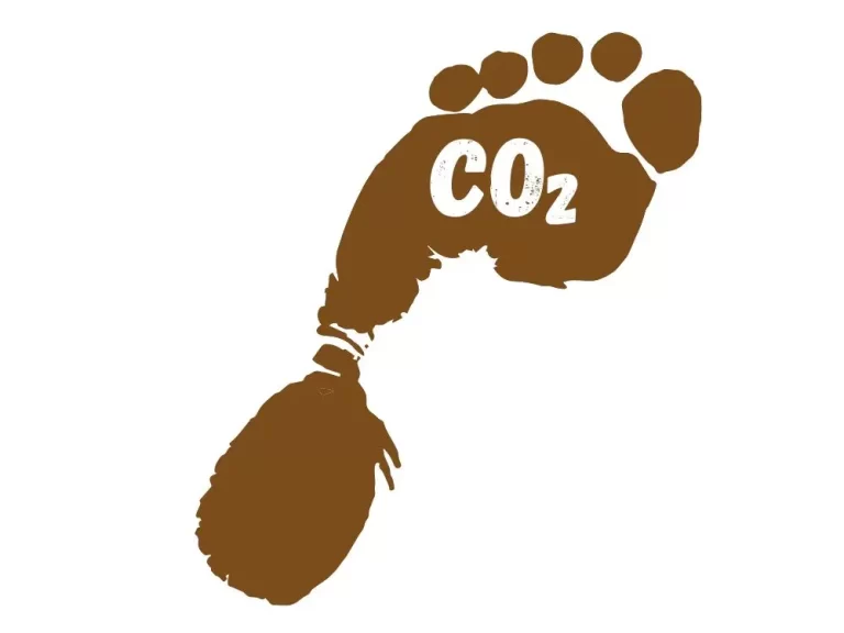 Graphic of a brown coloured carbon footprint