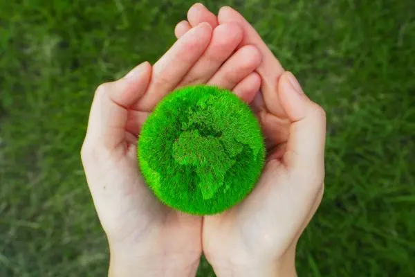 Image of green Earth held in palm of hands