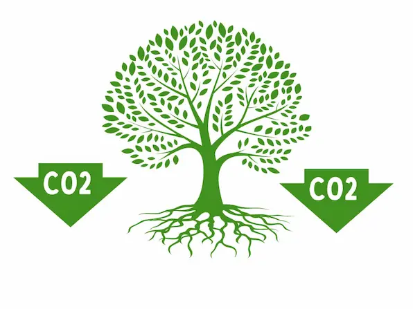 Graphic of a tree drawing down CO2, representing the role Biodiversity Net Gain mitigating climate change through sequestration.