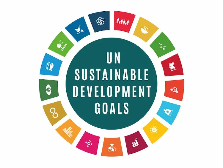 UN Sustainable Development Goal Display Graphic