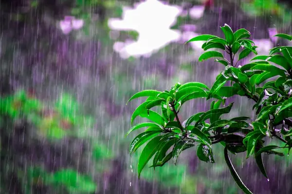 Image of heavy rainfall from a storm, a form of weather impact likely to become more frequent and intense as climate change progresses. 