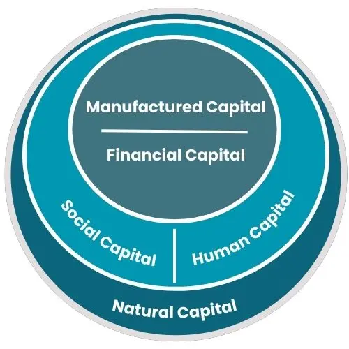 Graphic of the Five Capitals sustainability model.