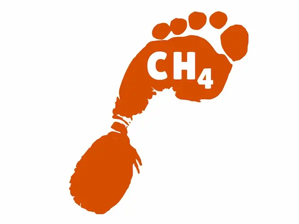 Graphic of a CH4 footprint, the chemical symbol for Methane. 