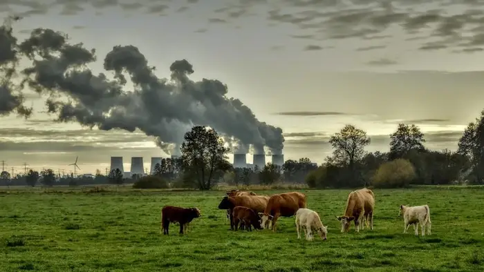 Image of farm set against the backdrop of emissions from a factory. 