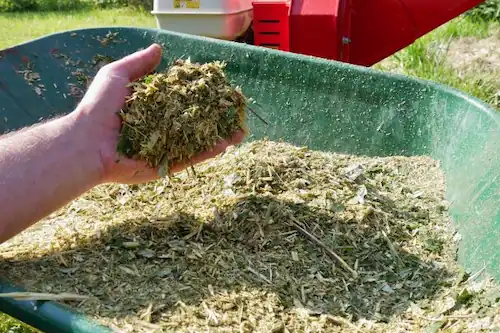 Image of compost