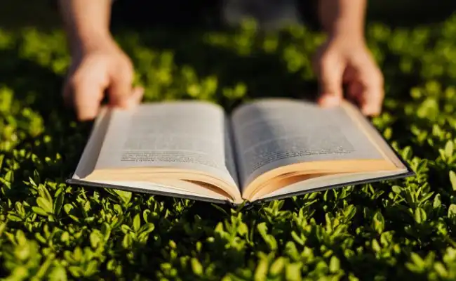 Image of book being read on field