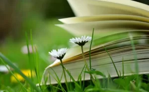 Image of book set against wildflowers