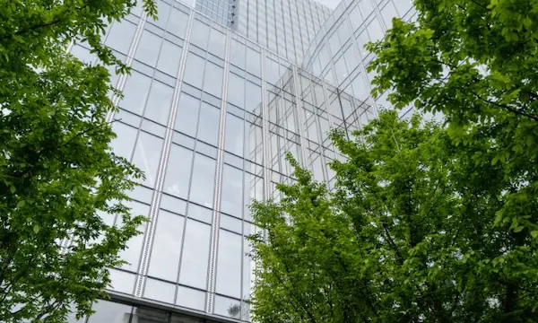 Image of trees in an urban setting