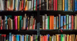 Image of a bookcase, filled with various colourful books