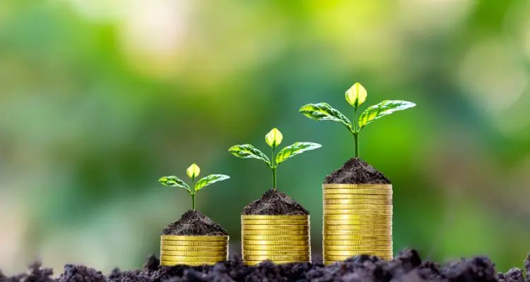 Image of 3 piles of coins, growing larger as plants growing from the top of them grow bigger