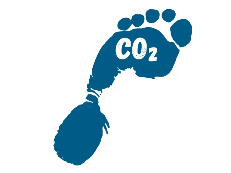 Graphic of a carbon footprint, coloured blue and labelled with the wording CO2