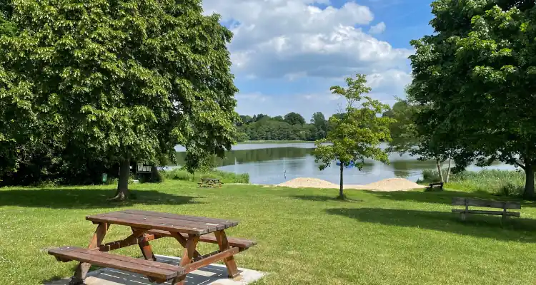 Image of green urban space, with a bench overlooking a green space