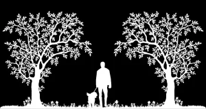 Silhouette graphic of a dogwalker in green woodland space.