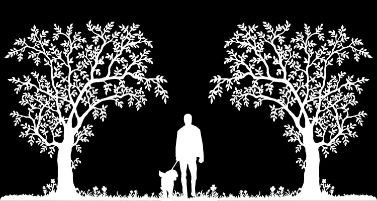 Silhouette graphic of a dogwalker in green woodland space.