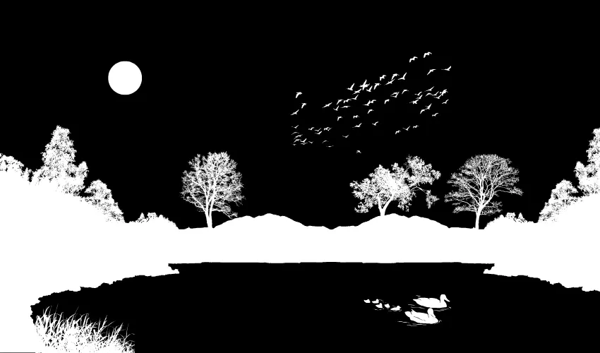 Digital art image of a wetland habitat in silhouette.